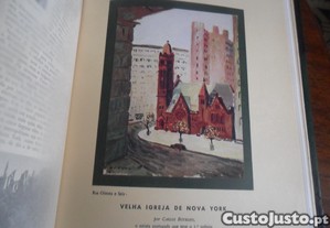 imagem_8