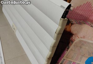 imagem_2