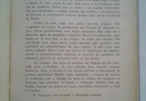 imagem_4