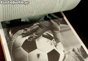 imagem_16