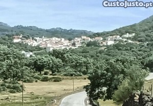 Casa / Villa T1 em Ribeira de Nisa e Carreiras de 36,00 m²