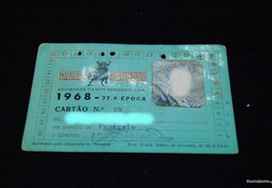 imagem_5