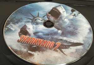 imagem_8