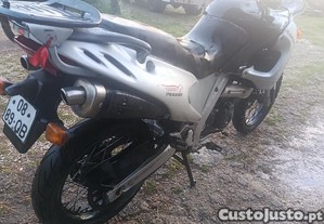 imagem_5