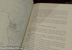 imagem_15