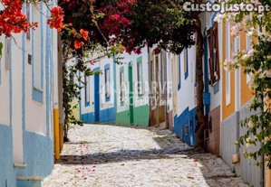 imagem_18