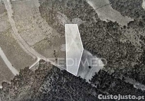 Terreno em angeja