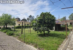 imagem_31