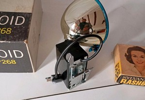 Polaroid + lampadas