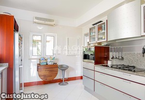 imagem_12