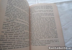 imagem_6