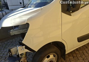 imagem_1