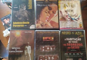 imagem_7