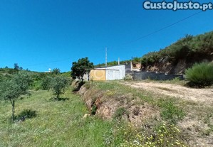 imagem_3