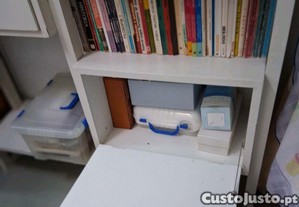 imagem_2