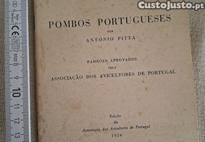 imagem_1