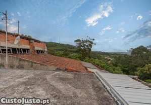 imagem_21