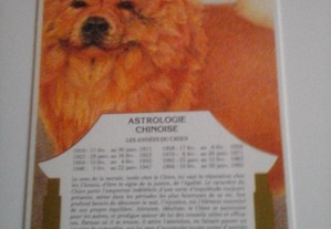 Cartão postal astrologia francesa Chien (Cão)
