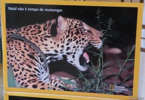 Postais National Geographic animais - 5 postais - Cada postal contém uma mensagem
