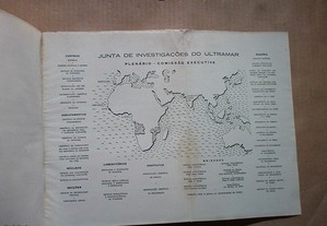 imagem_7