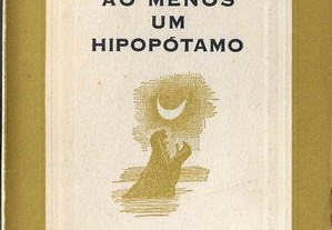 Natália Nunes. Ao Menos um Hipopótamo. Desenhos de Lima de Freitas. Introdução de José Saramago.