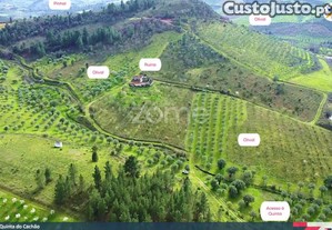 Quinta Do Cachão - Refúgio Agrícola No Vale Do Tua