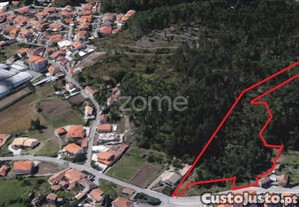 Terreno Com Potencial De Construção - Fajões,...