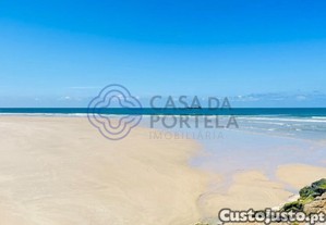imagem_7