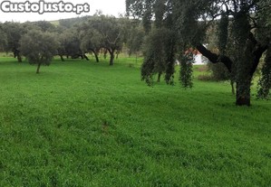 Terreno rstico com 3,9 hectares, com viabilidade de construo.