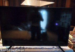 imagem_8