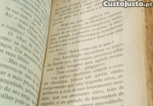 imagem_7