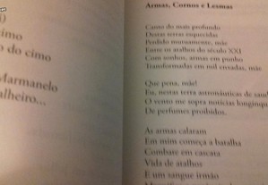 imagem_5