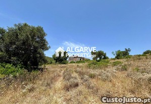 imagem_22