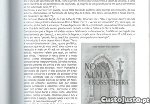 imagem_8