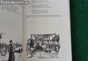 imagem_7