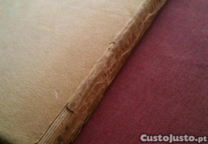 imagem_5