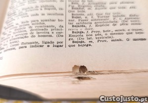 imagem_4