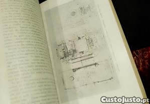 imagem_11
