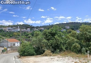 imagem_10