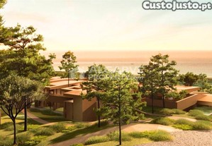 imagem_12