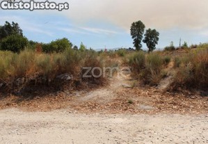 Terreno Rústico Em Paranhos Da Beira, Seia