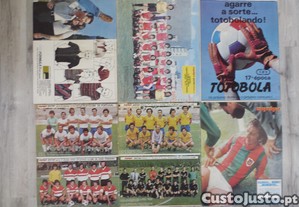 imagem_6