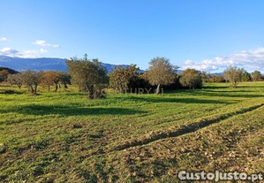 Terreno Rústico em Peraboa, Covilhã