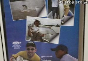 imagem_8