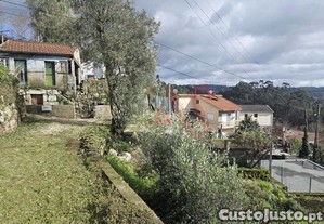 imagem_7