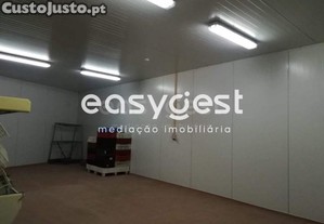 imagem_13