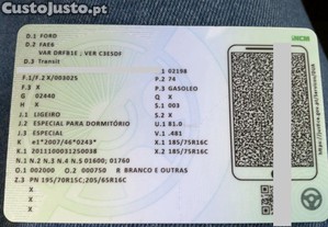 imagem_19