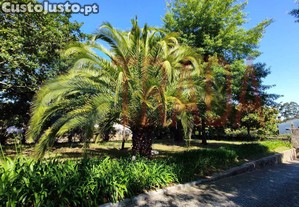 imagem_14