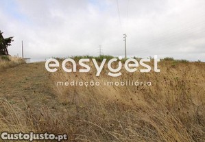 imagem_10
