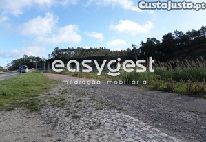imagem_8